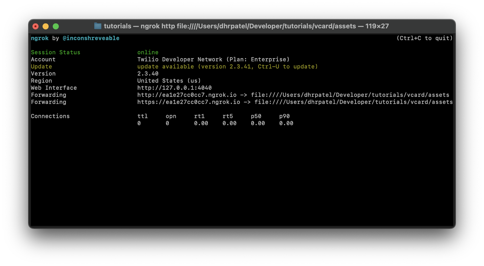 terminal screen after executing ngrok http command