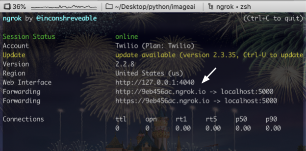 ngrok in terminal