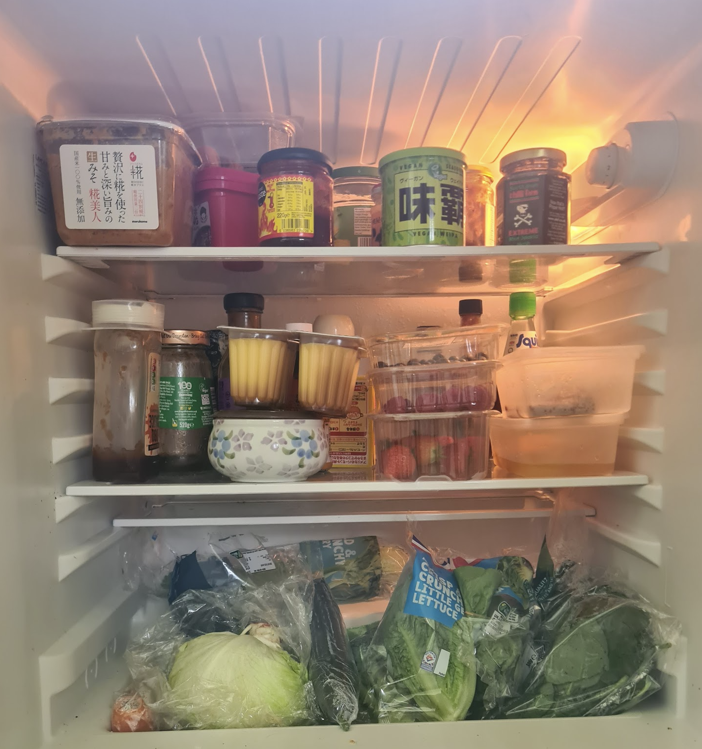 Uninspiring fridge contents