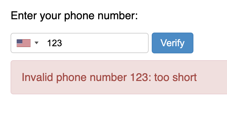 invalid phone number &#x27;123&#x27;: &#x27;too short&#x27;