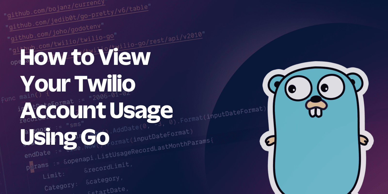 How to View Your Twilio Account Usage Using Go