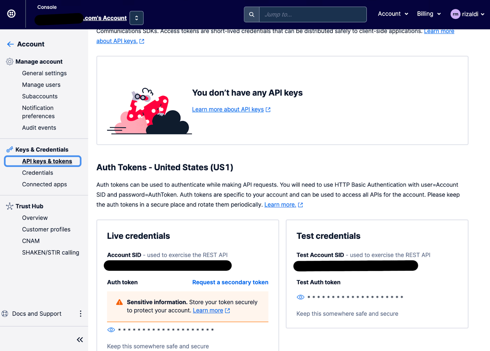 "API Keys and Tokens" page in Twilio console