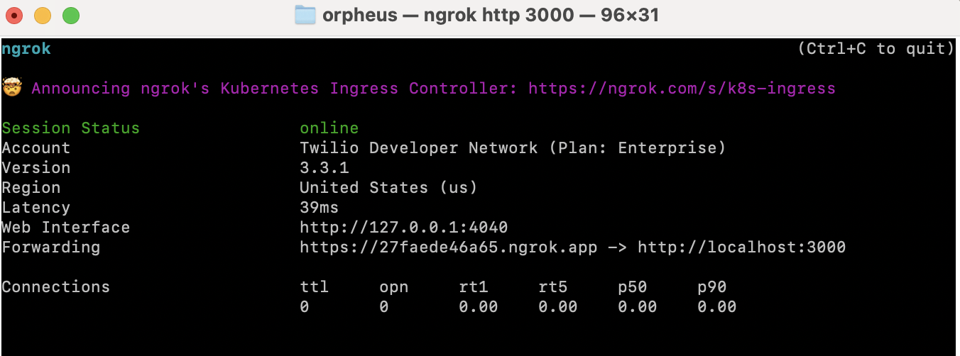 Screenshot of terminal with Ngrok running