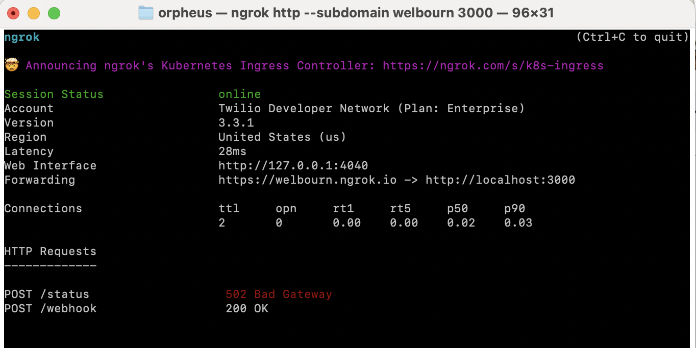 Screenshot of Ngrok with 502 error