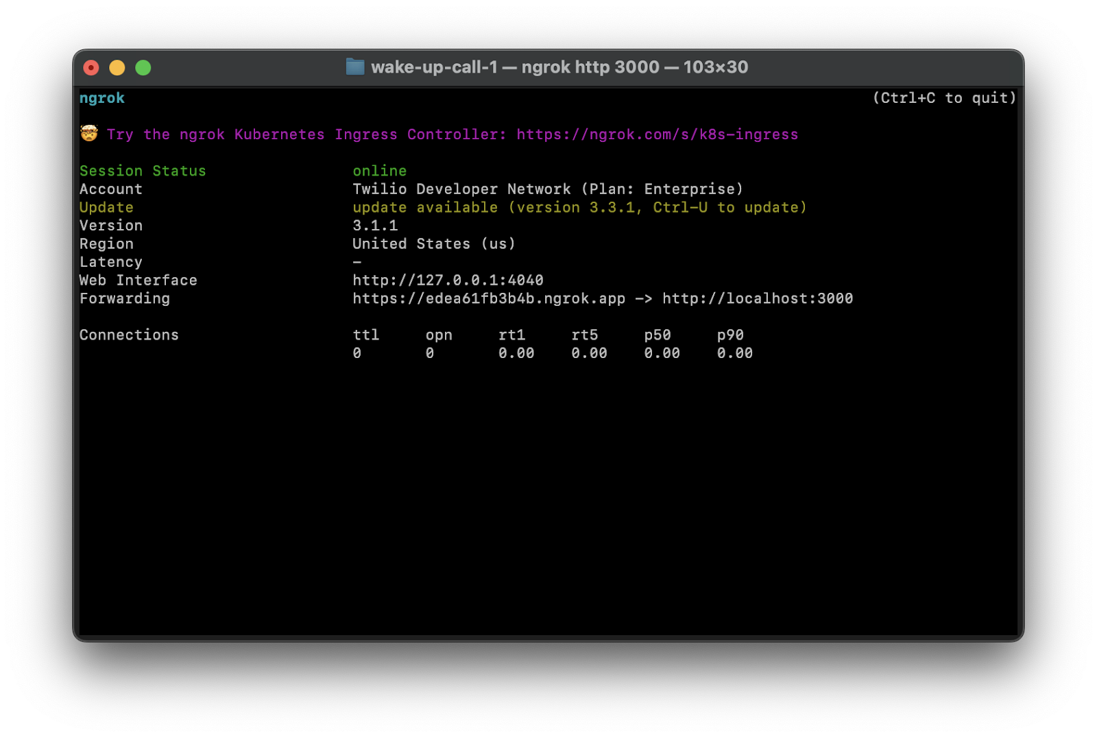 Terminal after executing the ngrok command