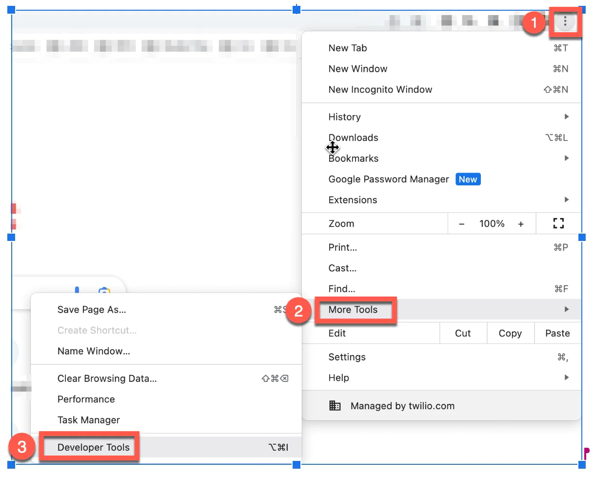 Steps to access Developer Tools in a browser