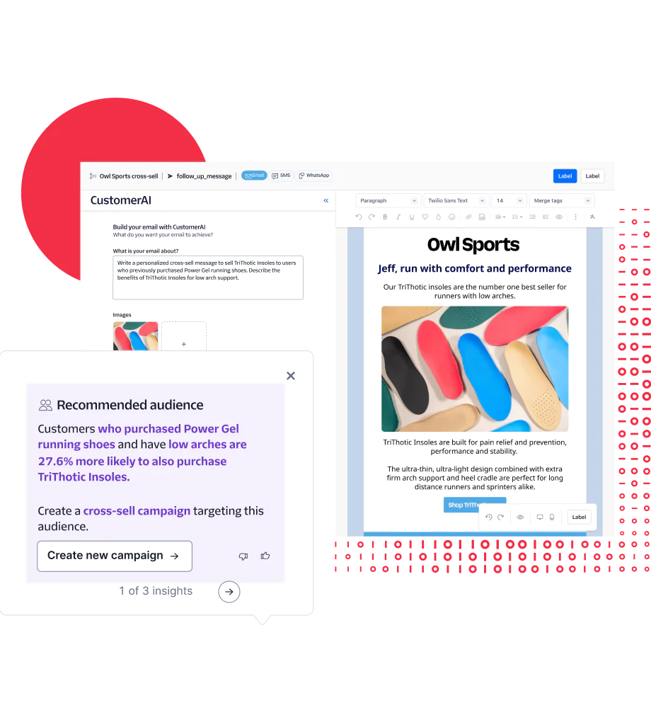 Customized email using CustomerAI for a recommended customer audience