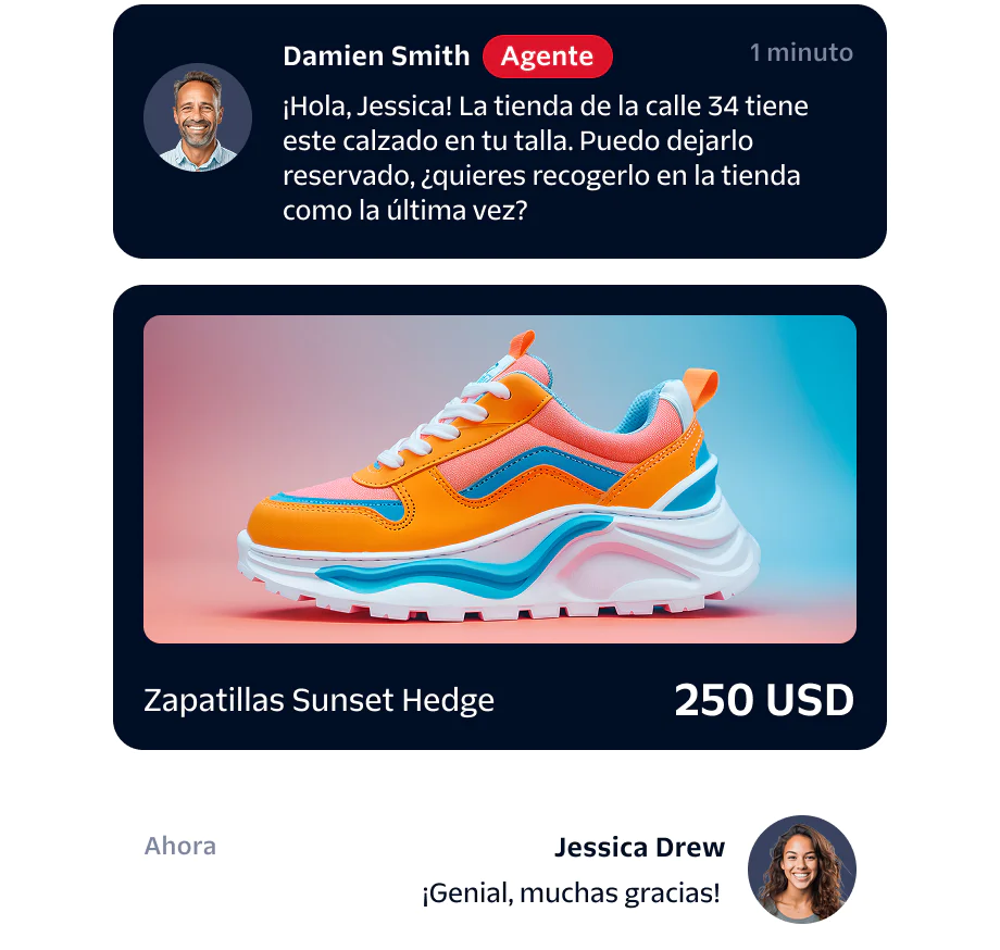 Chat between agent and customer about sneakers with an image of colorful sneakers and price displayed.