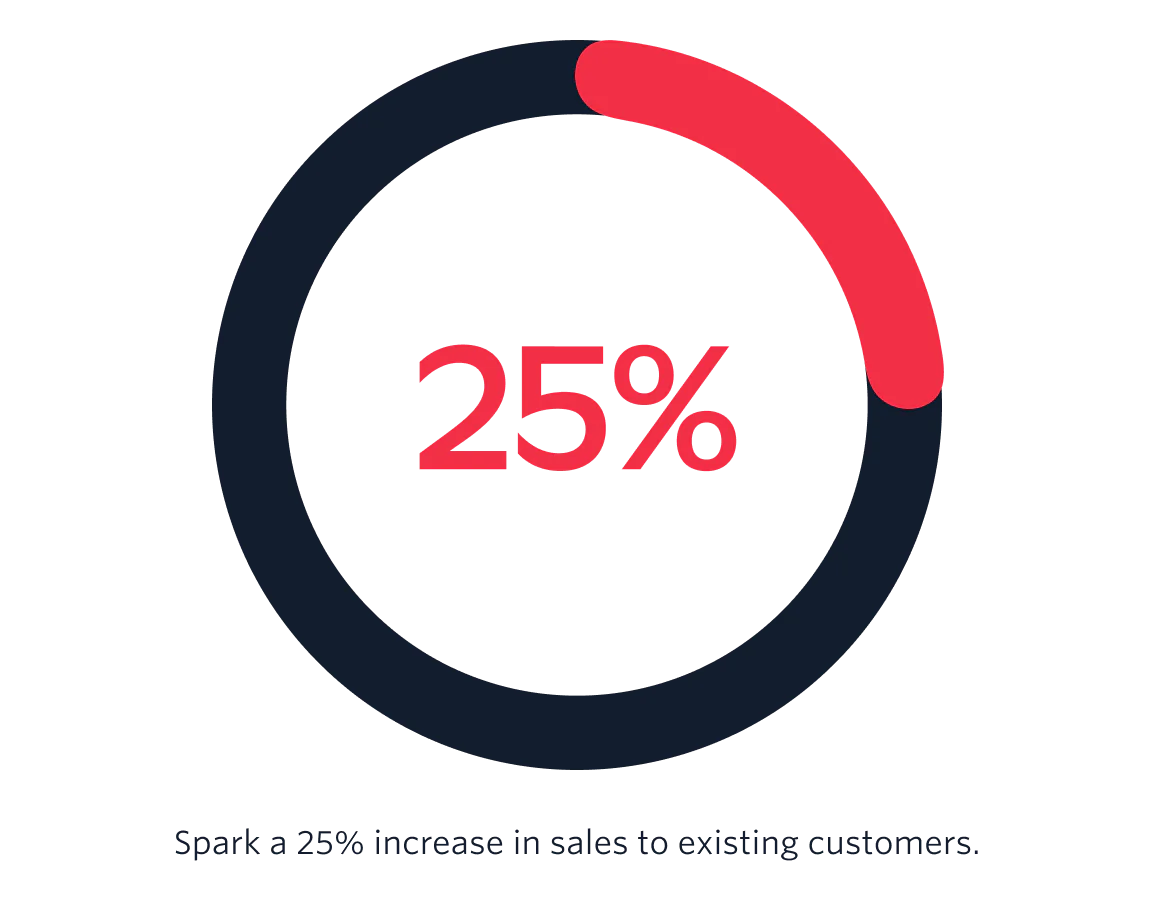 Spark a 25% increase in sales to existing customers.