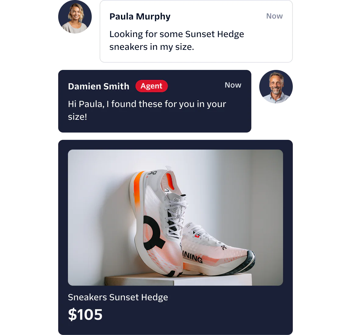 Chat between Paula and Damien about Sunset Hedge sneakers, with an image of the sneakers and their price.
