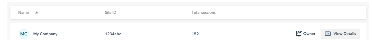 Company analytics dashboard displaying site ID, total sessions, owner information, and a details button.