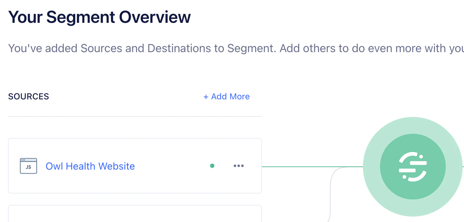 Dashboard showing segment overview with Owl Health Website listed as source.