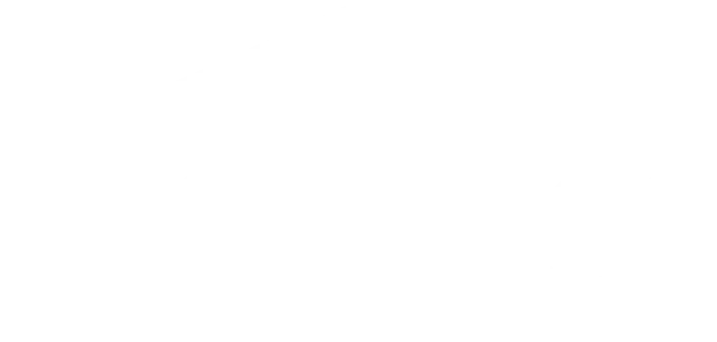 The Lowe's logo in white with a house-shaped outline above the text.
