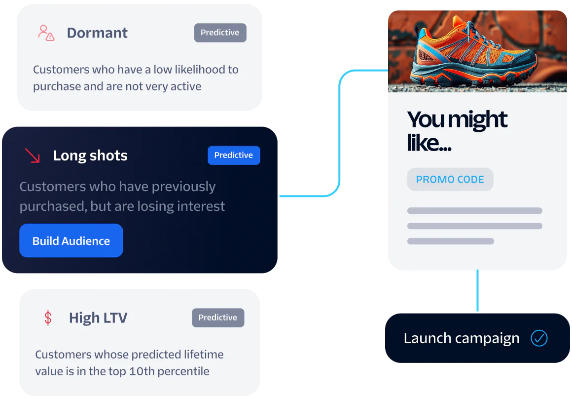 Visualization showing customer segments including Dormant, Long Shots, and High LTV with a shoe ad.