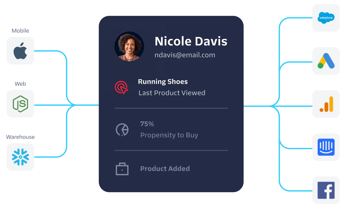Visualization of customer data from Nicole Davis integrated with platforms like Salesforce and Google Analytics.