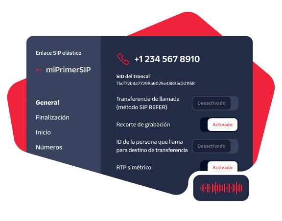 UI showing details of a SIP trunk configuration, with options for call transfer, recording, and symmetric RTP.