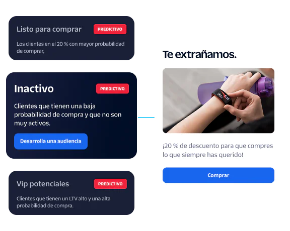 Segmented audience groups with labels Ready to buy, Dormant, and Potential VIPs, alongside a promotion.