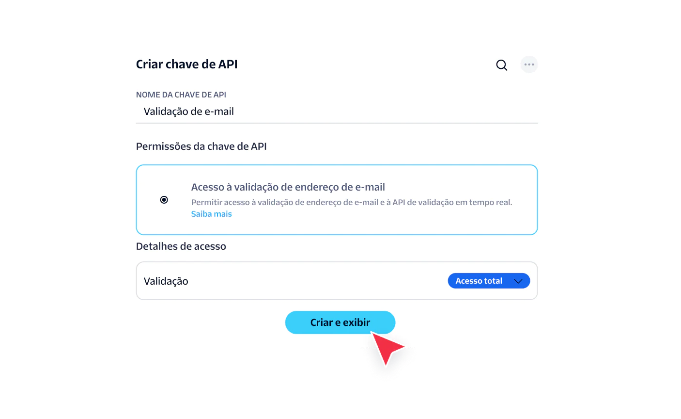 Interface for generating an API key with email validation permissions and access settings.
