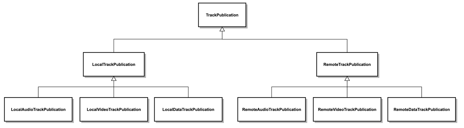Programmable Video SDK TrackPublication Types.