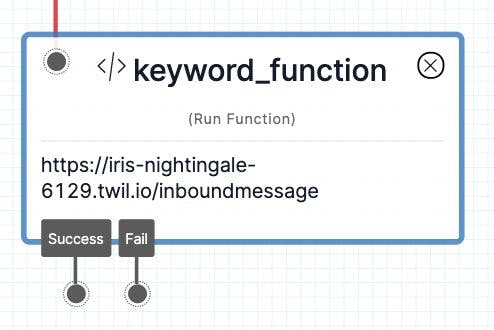 Run Function widget, re-named to 'keyword_function.' Function widget displays a URL where the function can be found.