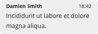 Message bubble from Damien Smith at 18:42 saying 'Incididunt ut labore et dolore magna aliqua.'.