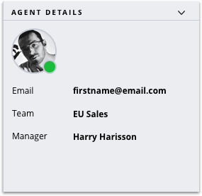Agent details with email, team EU Sales, and manager Harry Harisson.