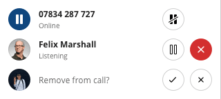 Participant list showing call status and options to mute or remove.