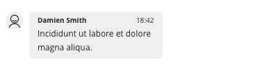 Chat message from Damien Smith at 18:42 saying 'Incididunt ut labore et dolore magna aliqua.'.