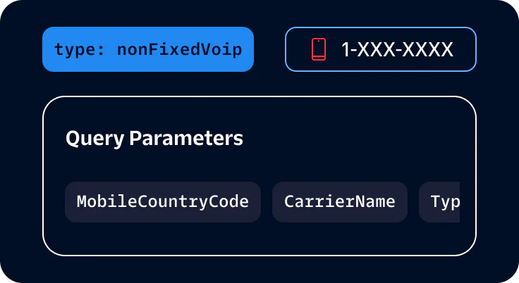 Query Parameters System Display with Example Inputs Example of query parameters including FirstName, AddressLine, City, and State with a phone number